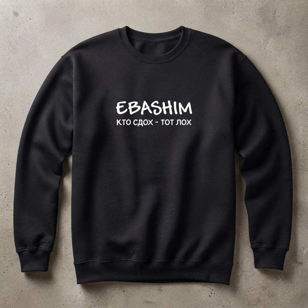 СВИТШОТ С ПРИНТОМ " EBASHIM"