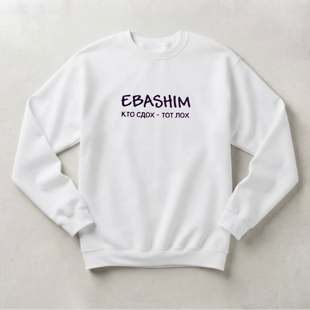 СВИТШОТ С ПРИНТОМ " EBASHIM"