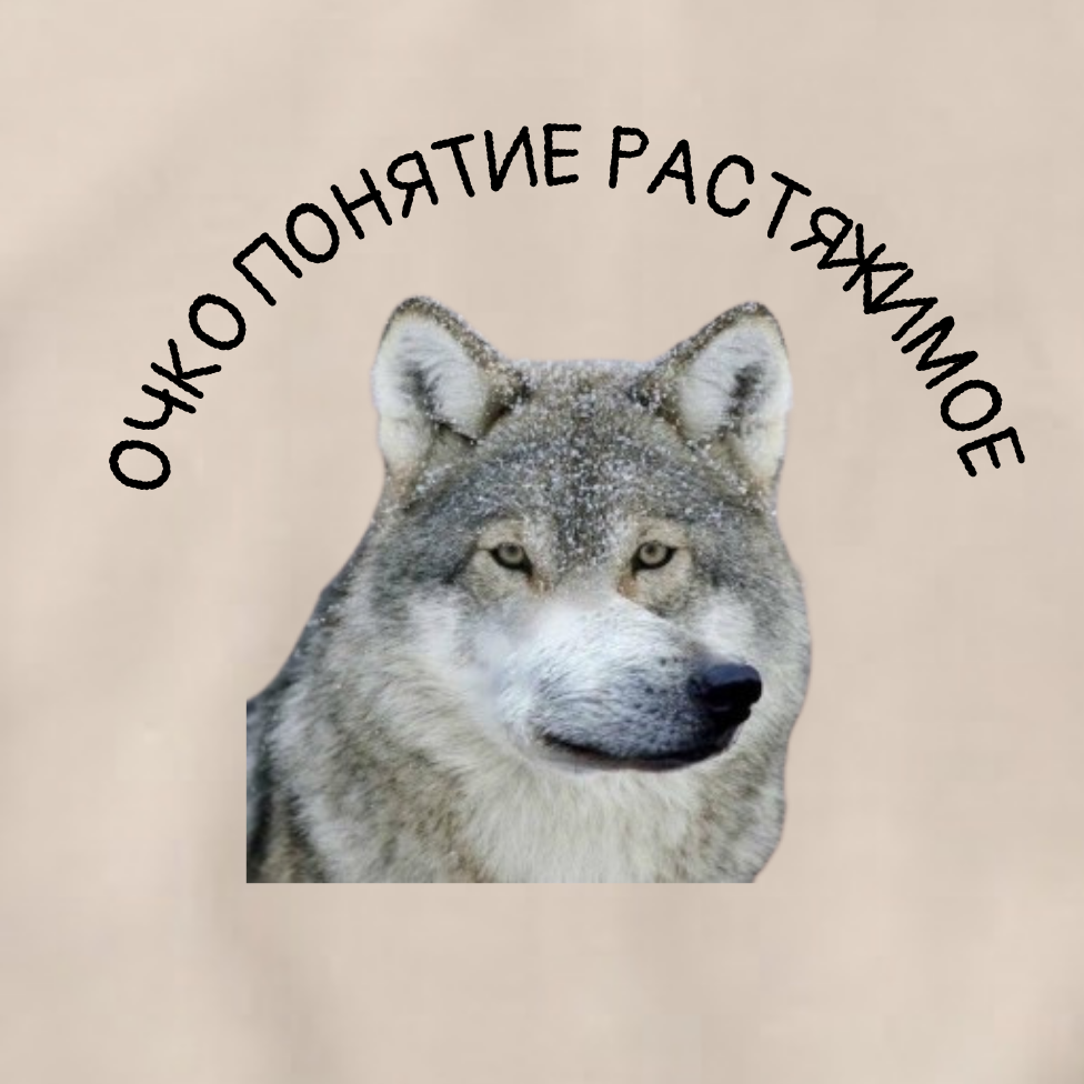 СВИТШОТ С ПРИНТОМ " Поцанский Волк"