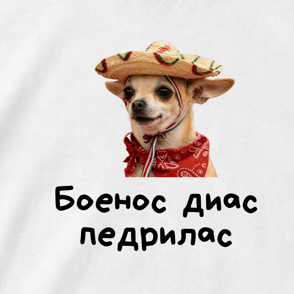ФУТБОЛКА С ПРИНТОМ "Боенос Диас Педрилос"