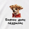 ФУТБОЛКА С ПРИНТОМ "Боенос Диас Педрилос"