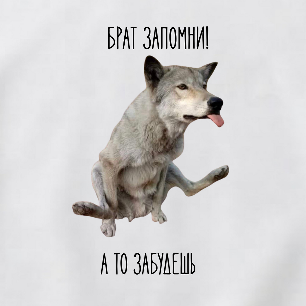 СВИТШОТ С ПРИНТОМ " Брат Волк"