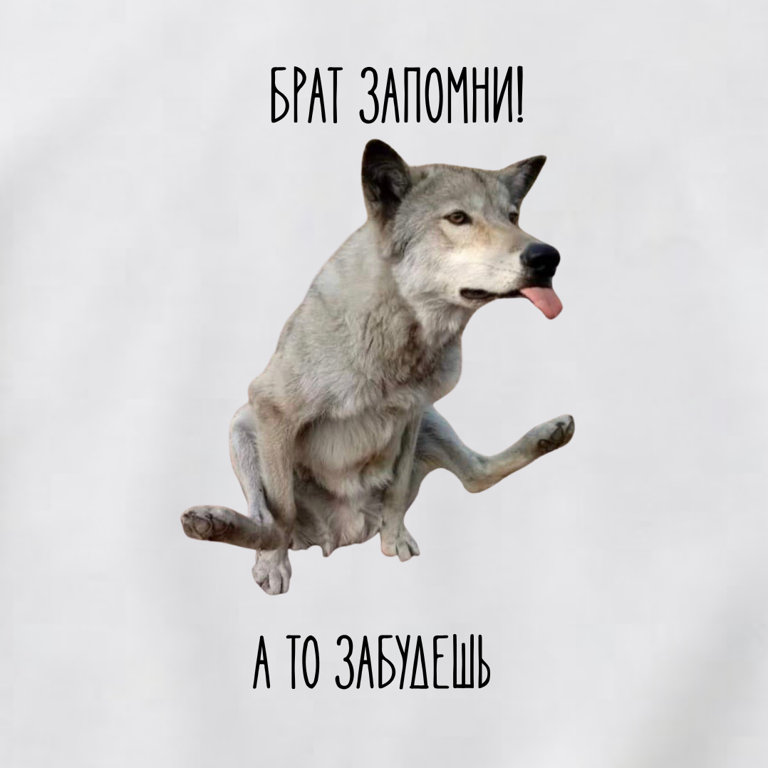 СВИТШОТ С ПРИНТОМ " Брат Волк"