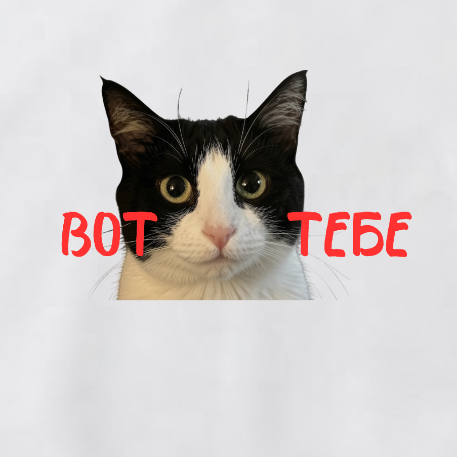 СВИТШОТ С ПРИНТОМ "Вот Тебе"