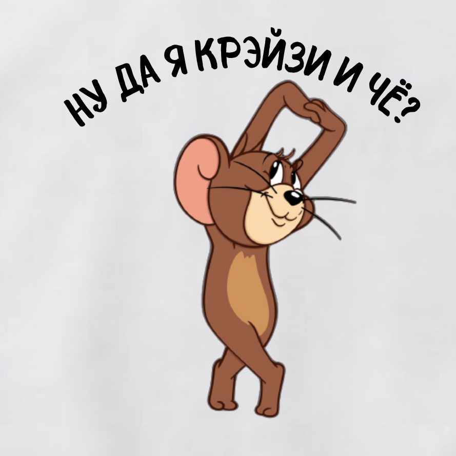 СВИТШОТ С ПРИНТОМ "Я Крэйзи"