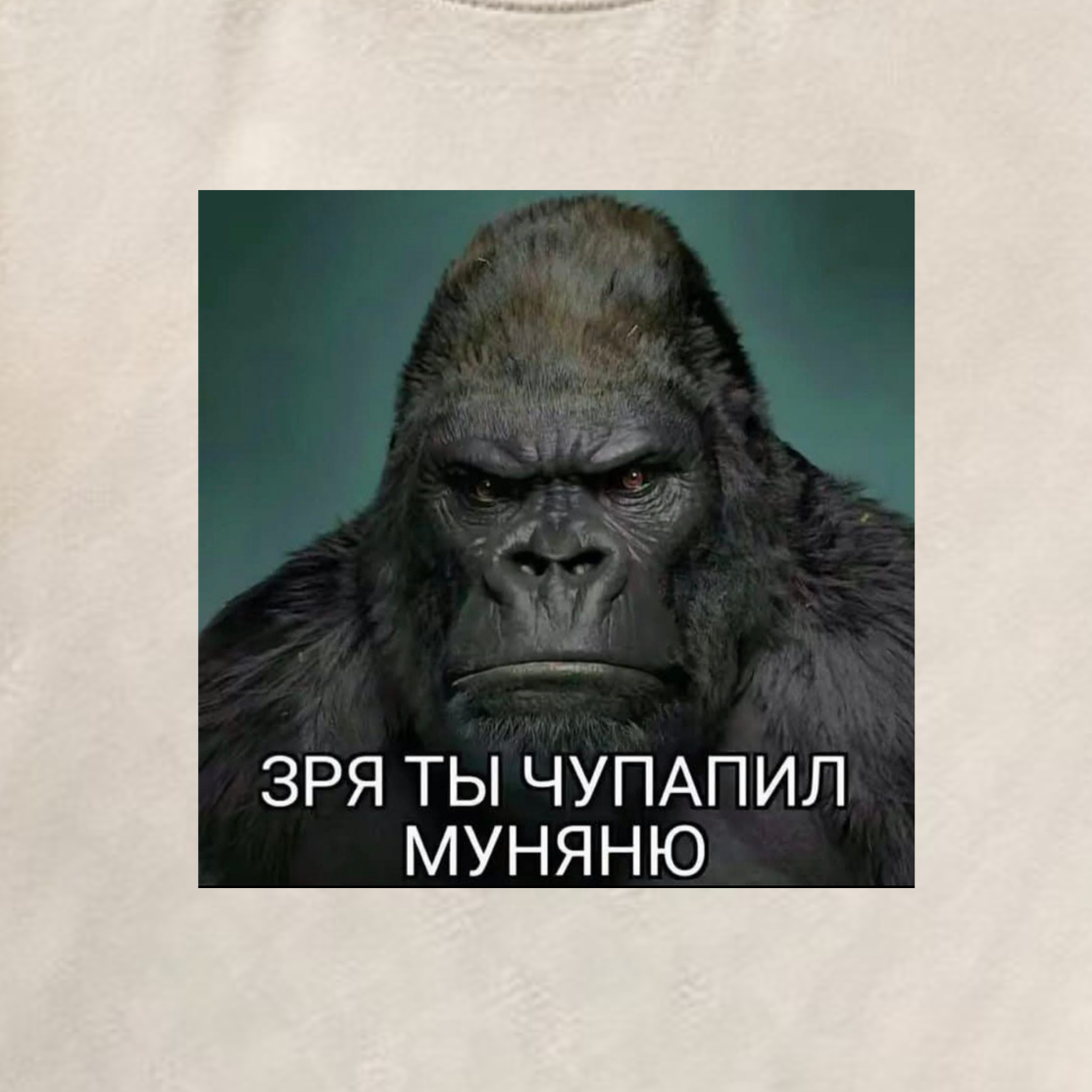 ФУТБОЛКА С ПРИНТОМ "Чупапил Муняню?"