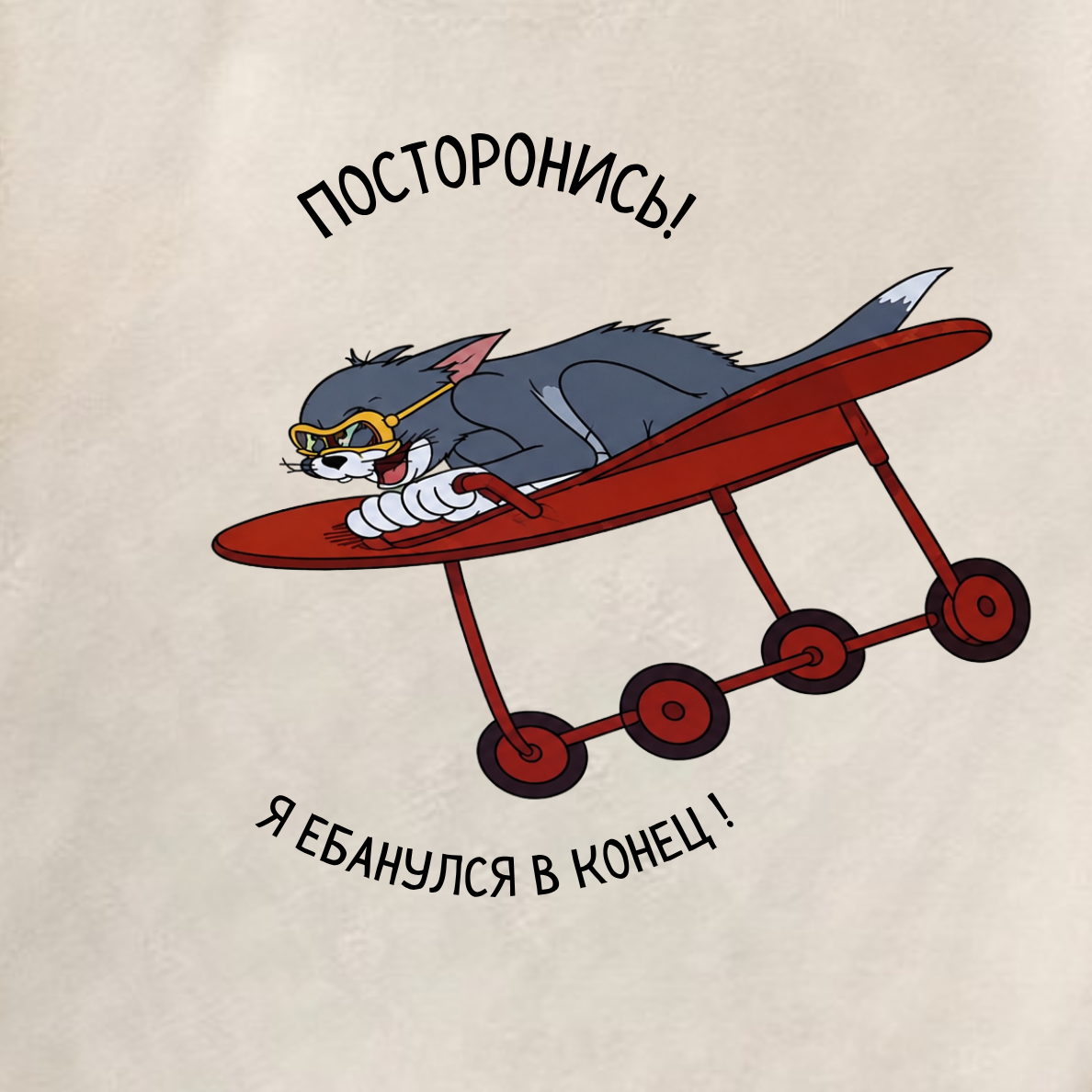 ФУТБОЛКА С ПРИНТОМ "Посторонись! Я Ебанулся"