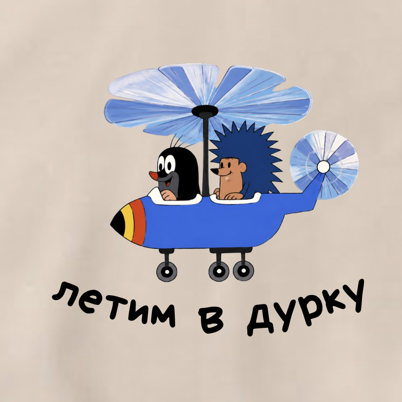 СВИТШОТ С ПРИНТОМ "Летим В Дурку"