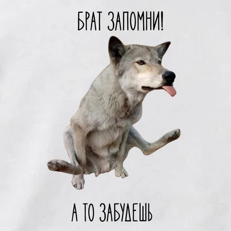 ХУДИ С ПРИНТОМ "Брат запомни!"
